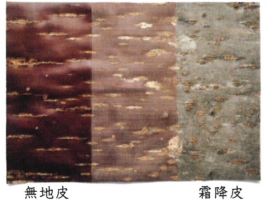 秋田伝統工芸 × LED額縁 － フォラックス教育